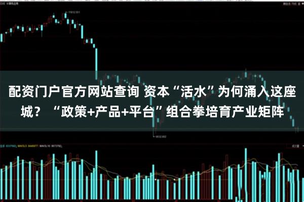 配资门户官方网站查询 资本“活水”为何涌入这座城？ “政策+产品+平台”组合拳培育产业矩阵