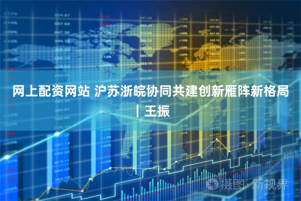 网上配资网站 沪苏浙皖协同共建创新雁阵新格局｜王振